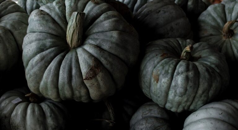 Garden-Squash